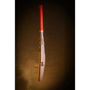 Cricket Bat