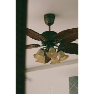 Ceiling Fan Premium
