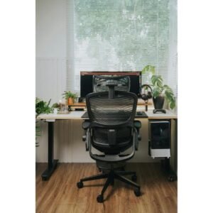 Office Ergonomic Chair